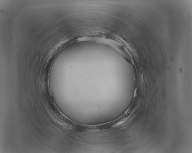 X0000076430203200610271741