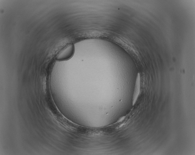 X0000076430206200610271741