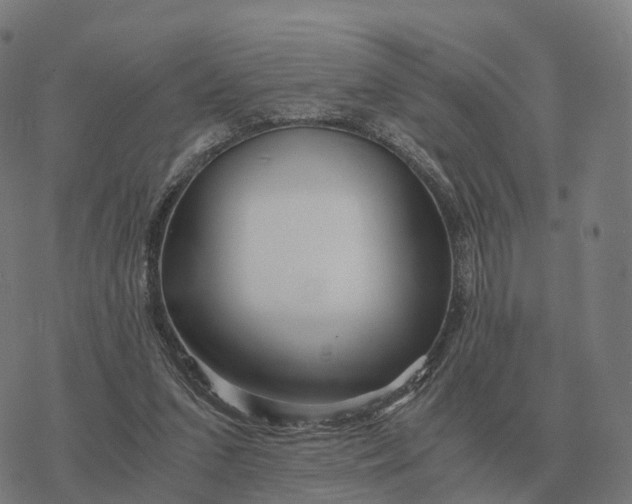 X0000076430207200610271741