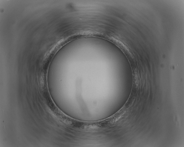 X0000076430208200610271741