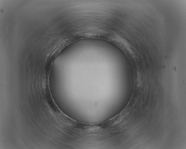 X0000076430210200610271741