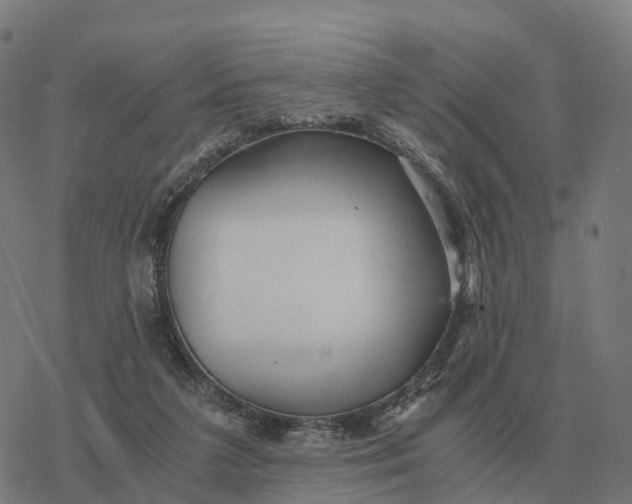 X0000076430211200610271741