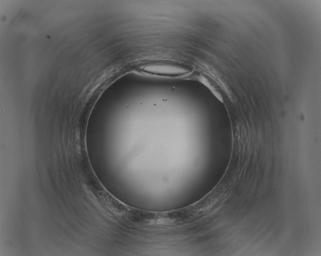 X0000076430212200610271741