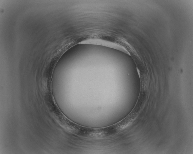 X0000076430213200610271741