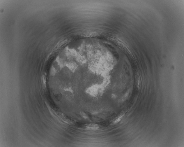 X0000076430214200610271741