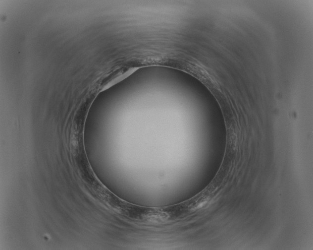 X0000076430215200610271741