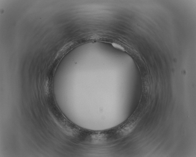 X0000076430216200610271741