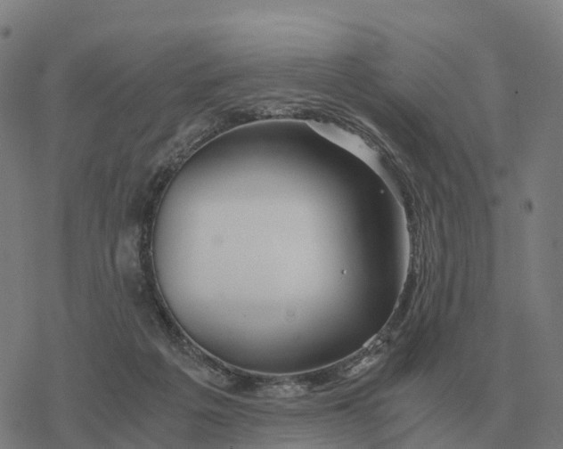 X0000076430217200610271741