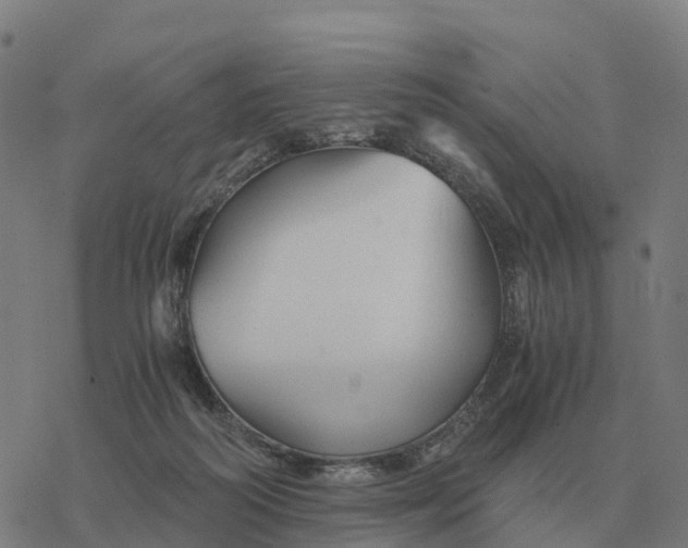 X0000076430218200610271741