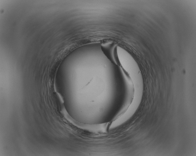 X0000076430219200610271741