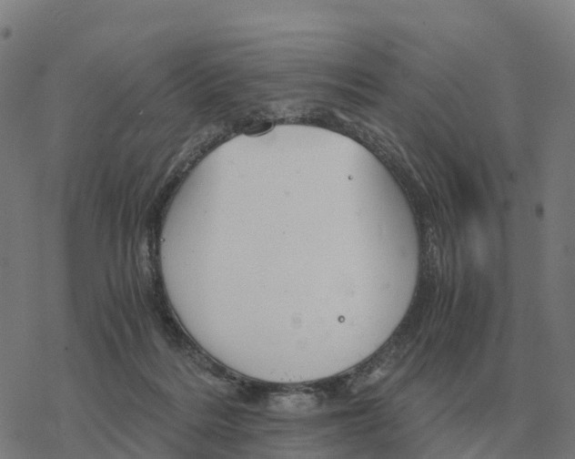 X0000076430220200610271741