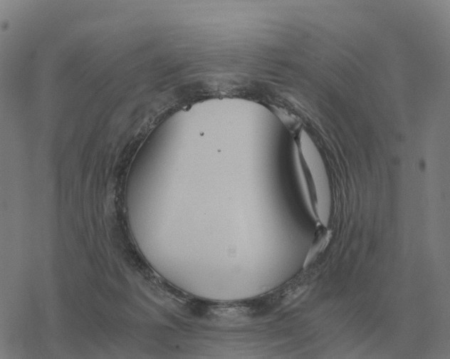 X0000076430221200610271741