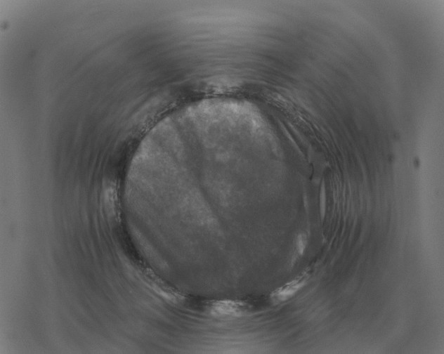 X0000076430222200610271741