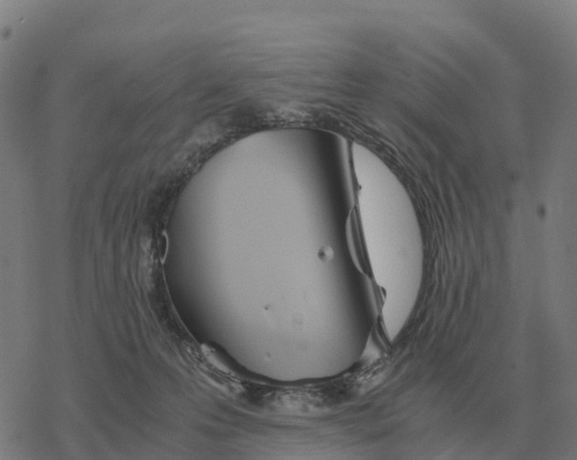 X0000076430223200610271741