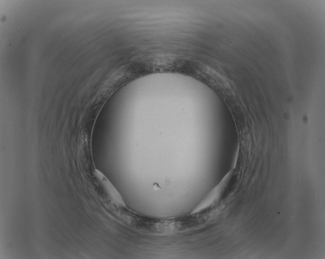 X0000076430225200610271741