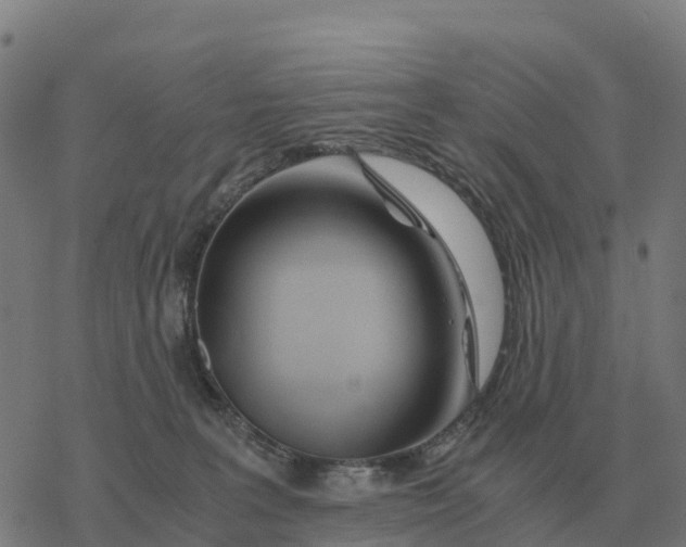 X0000076430227200610271741