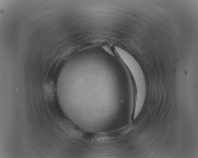 X0000076430228200610271741