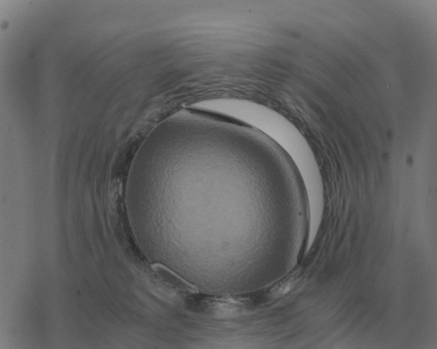 X0000076430229200610271741