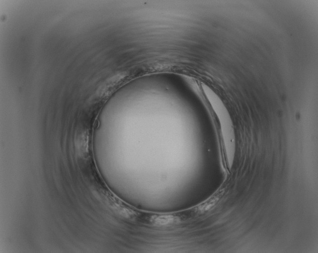 X0000076430230200610271741