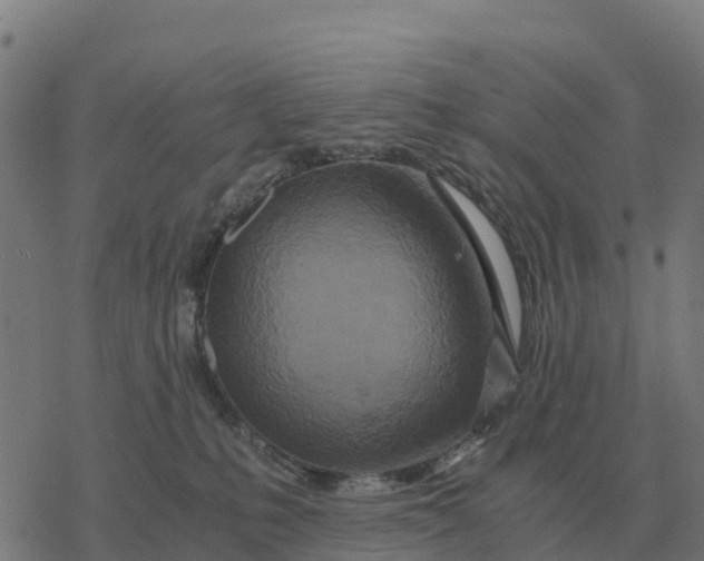 X0000076430231200610271741