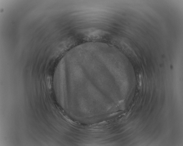 X0000076430232200610271741