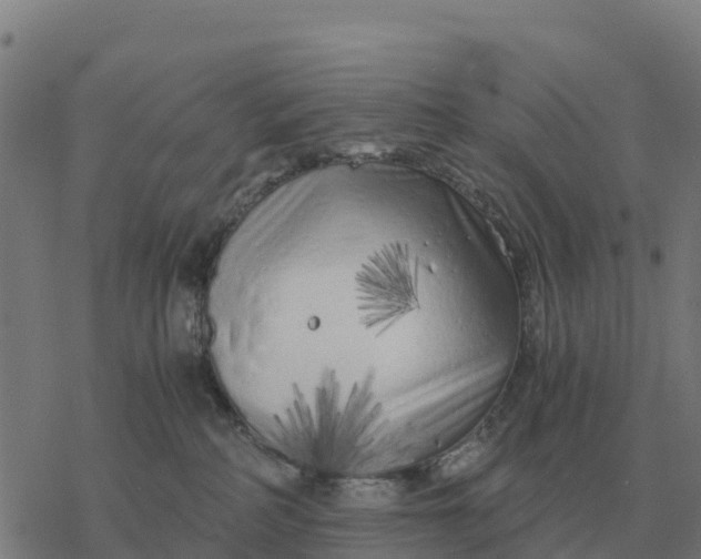 X0000076430234200610271741