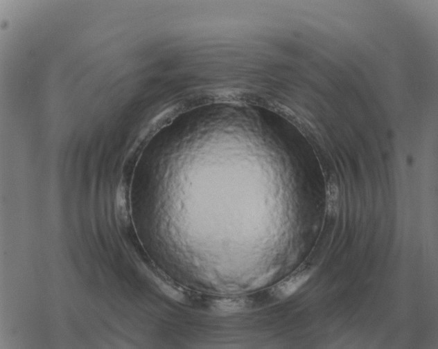 X0000076430238200610271741