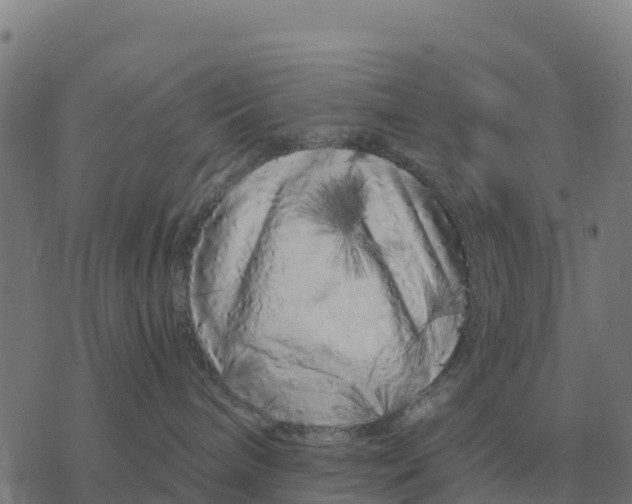 X0000076430240200610271741