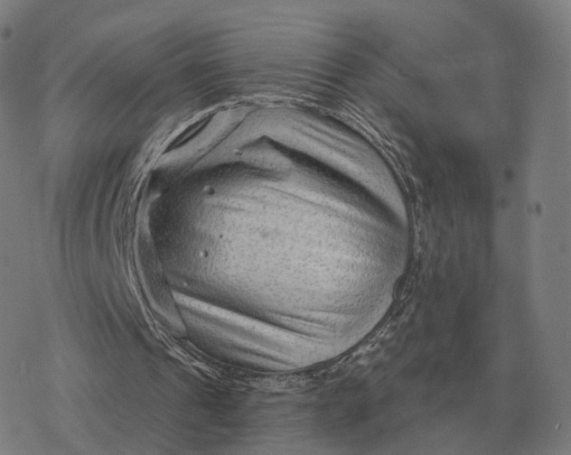 X0000076430241200610271740