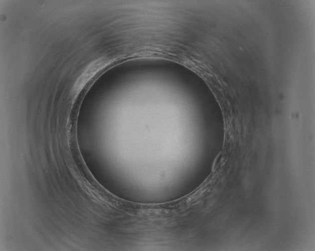 X0000076430242200610271740