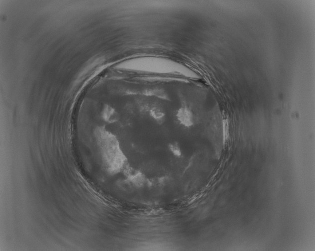 X0000076430243200610271740