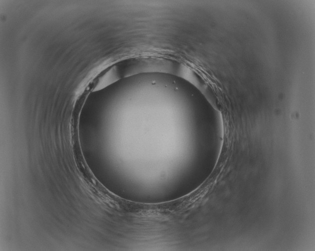 X0000076430244200610271740