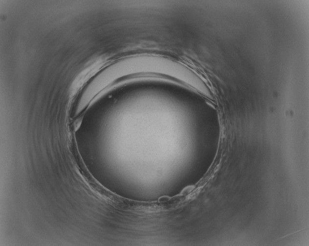 X0000076430245200610271740