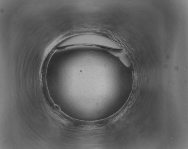 X0000076430246200610271740