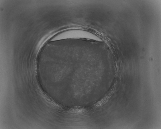 X0000076430247200610271740