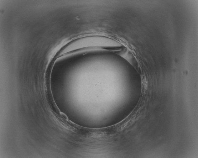 X0000076430248200610271740