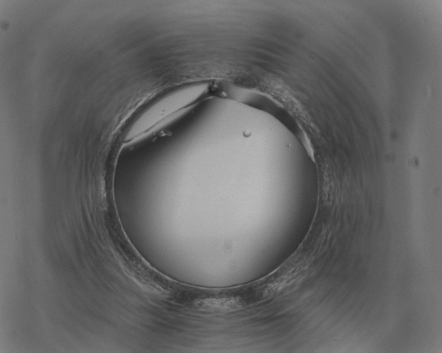 X0000076430251200610271740