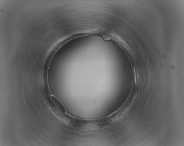 X0000076430252200610271740