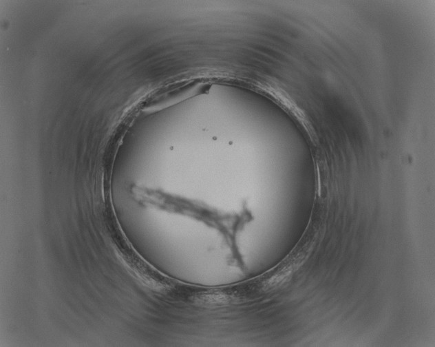 X0000076430253200610271740