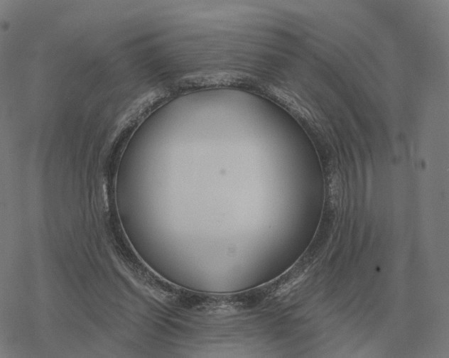 X0000076430254200610271740