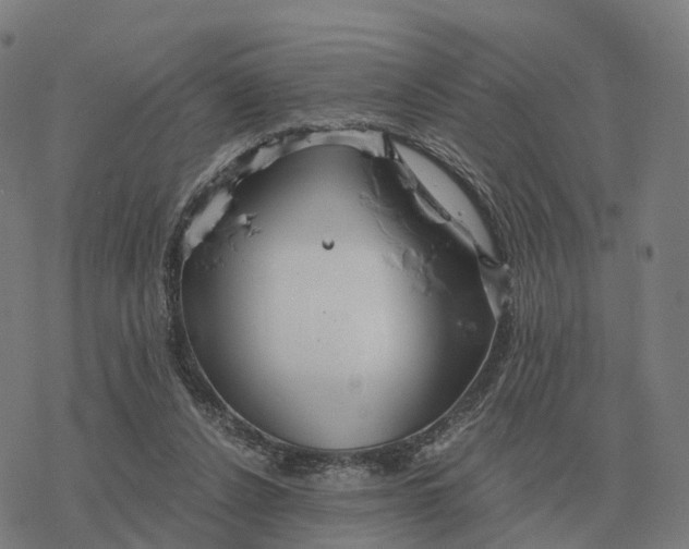 X0000076430256200610271740