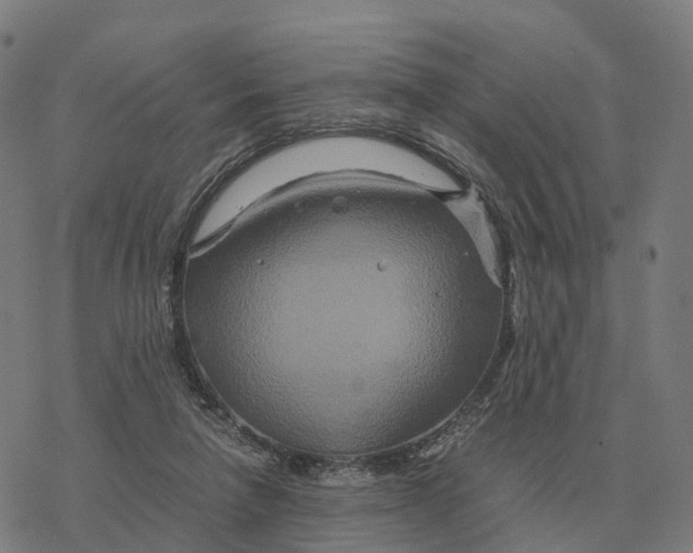 X0000076430258200610271740