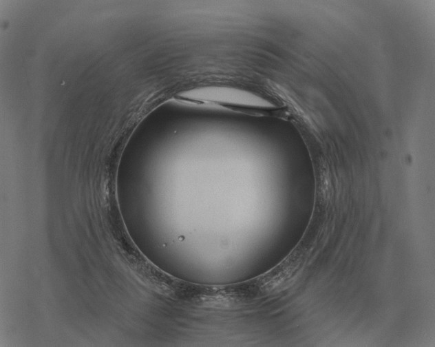 X0000076430259200610271740