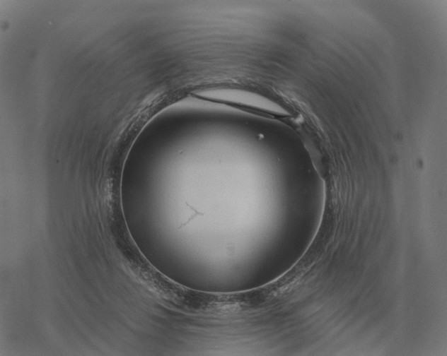 X0000076430260200610271740