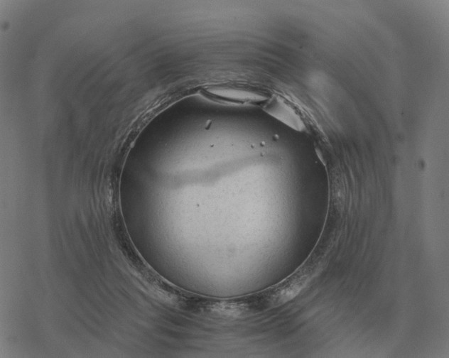 X0000076430261200610271740