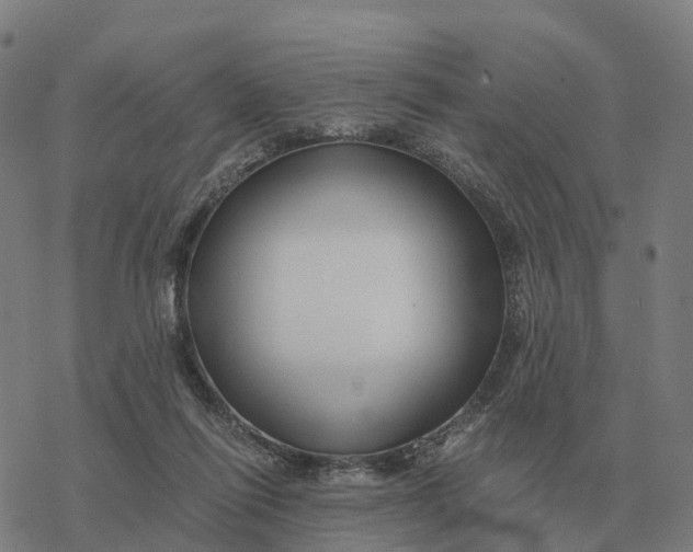 X0000076430262200610271740