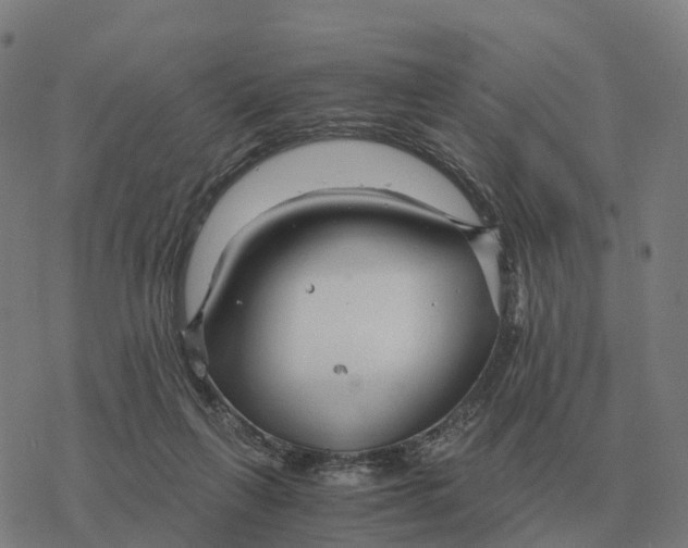 X0000076430263200610271740