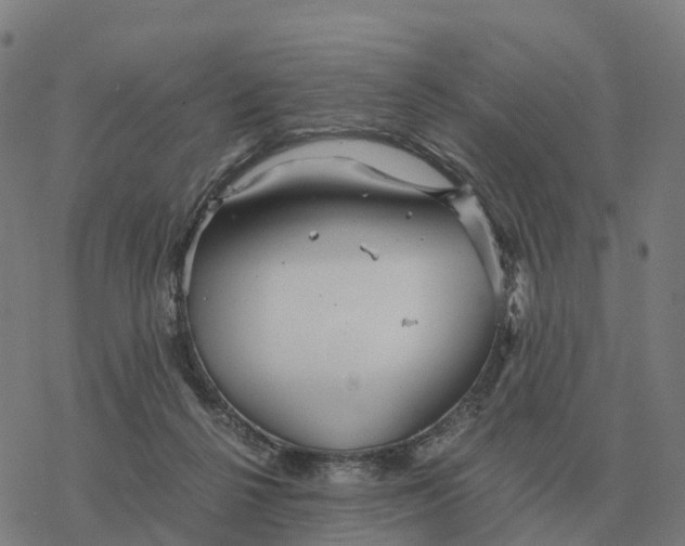 X0000076430264200610271740