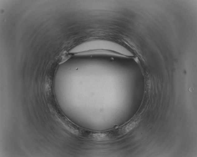 X0000076430265200610271740