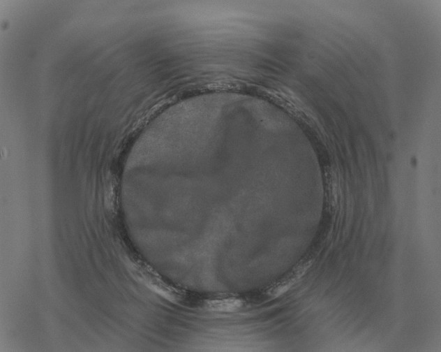 X0000076430266200610271741